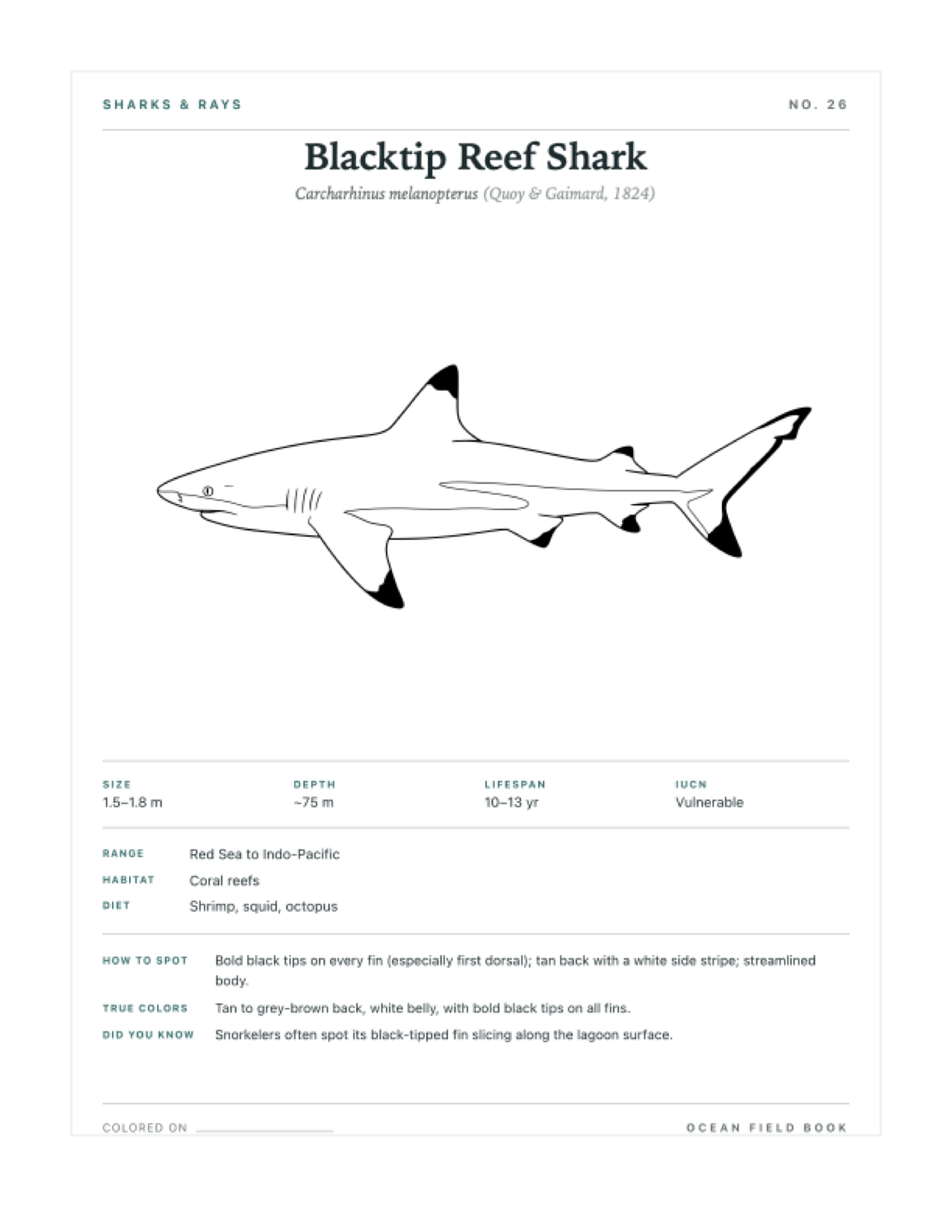 Blacktip Reef Shark coloring page — free printable field guide card