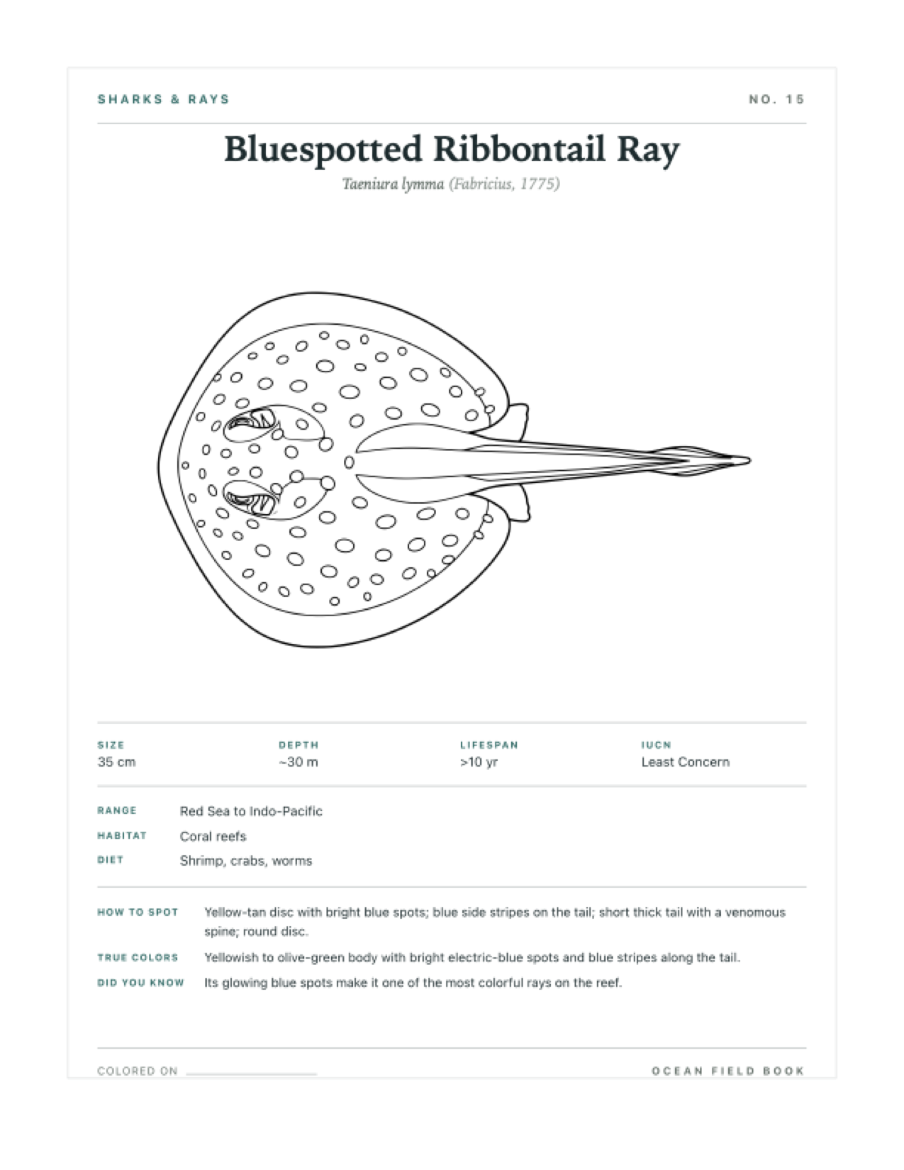 Bluespotted Ribbontail Ray coloring page — free printable field guide card