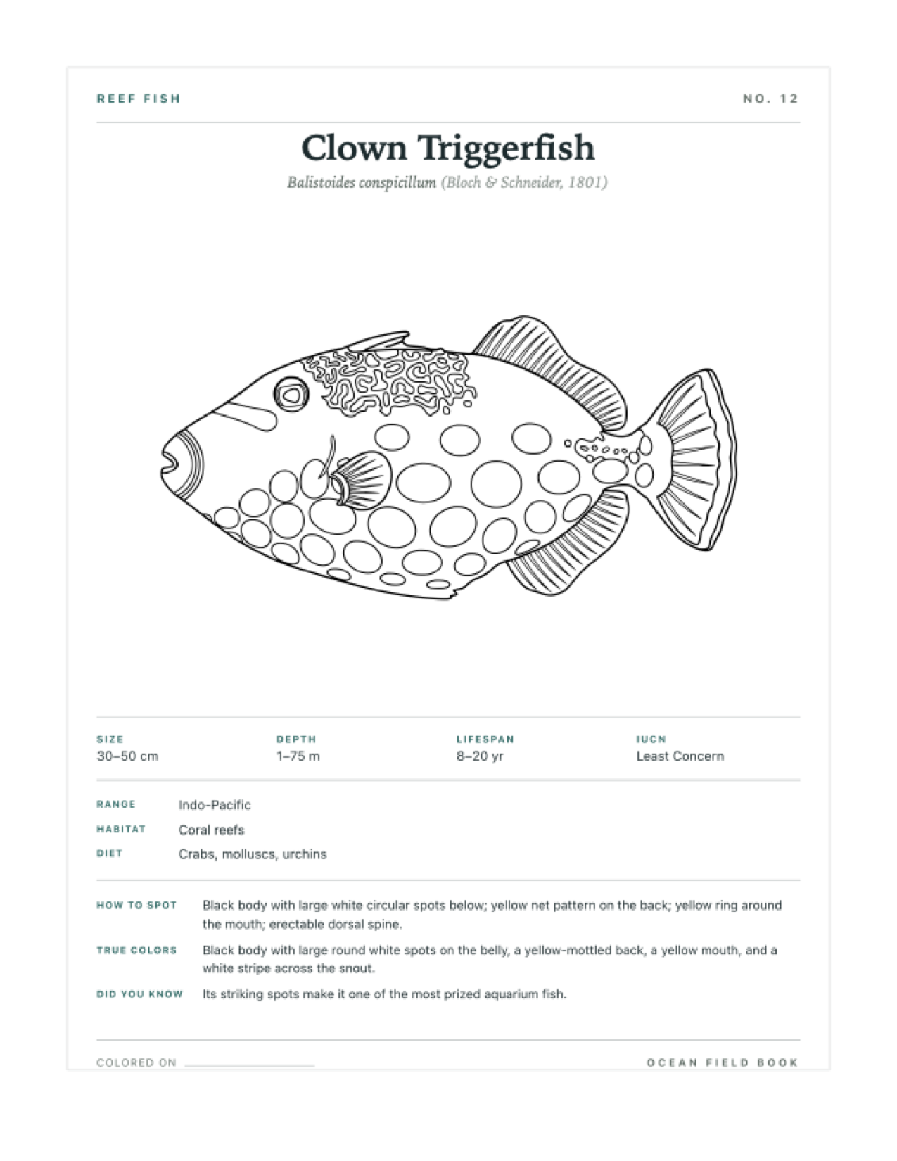 Clown Triggerfish coloring page — free printable field guide card