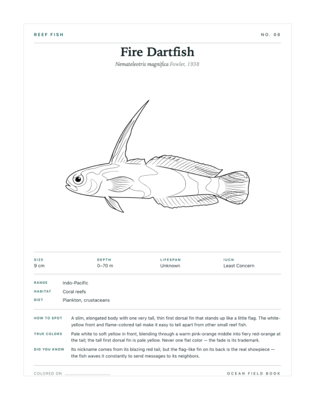 Fire Dartfish coloring page — free printable field guide card