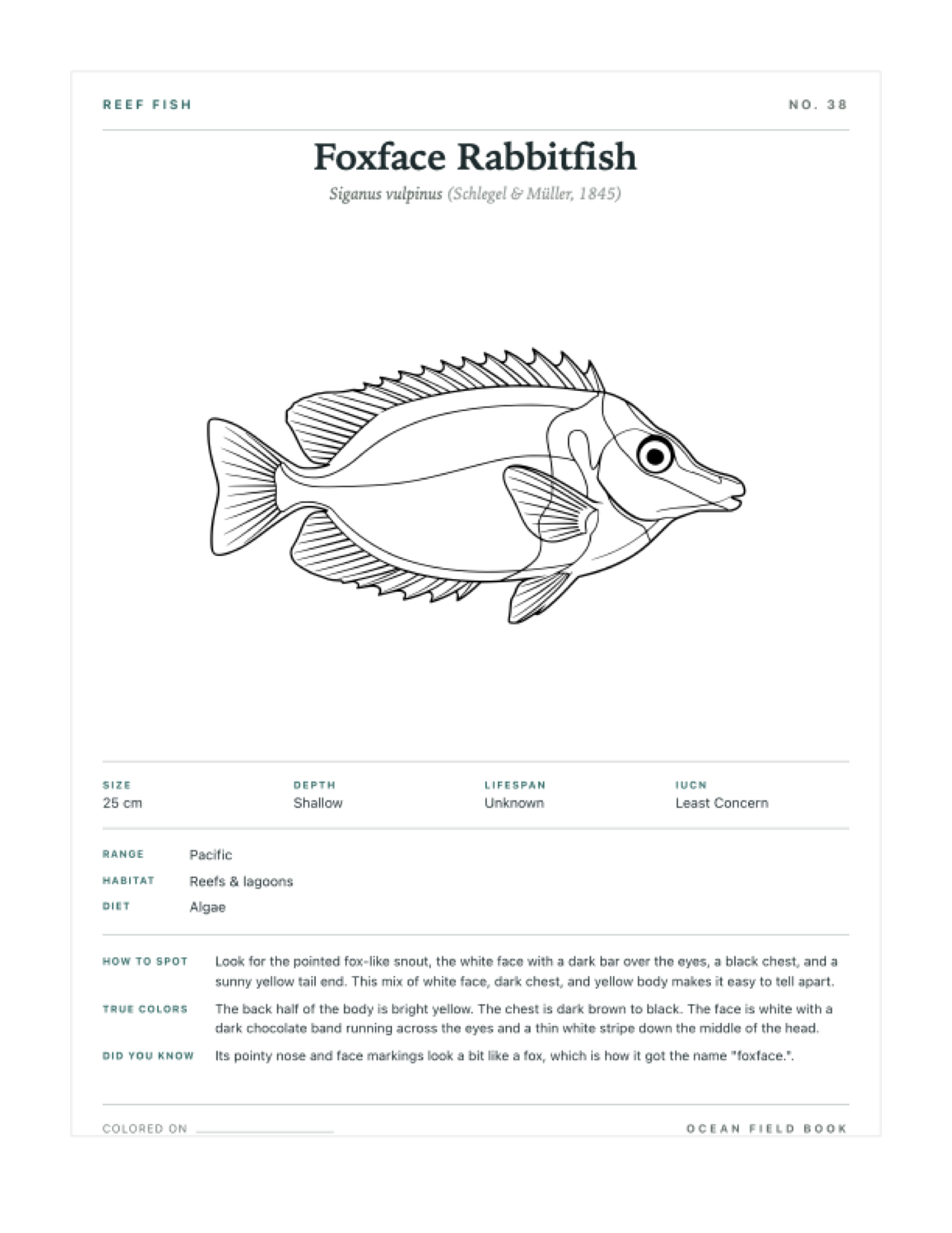 Foxface Rabbitfish coloring page — free printable field guide card