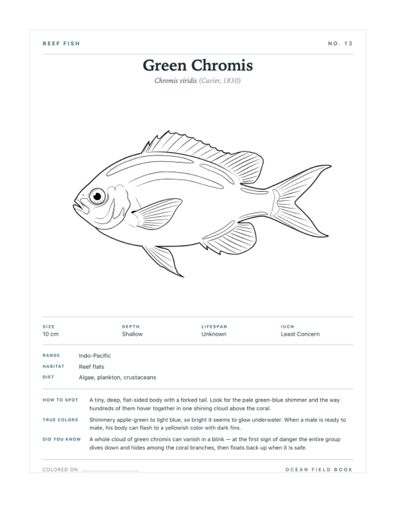 Green Chromis coloring page — free printable field guide card