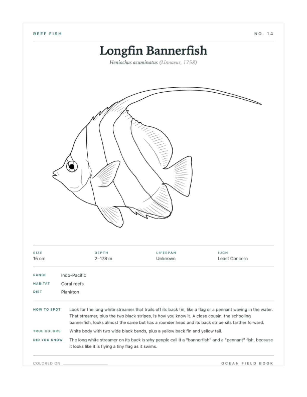 Longfin Bannerfish coloring page — free printable field guide card