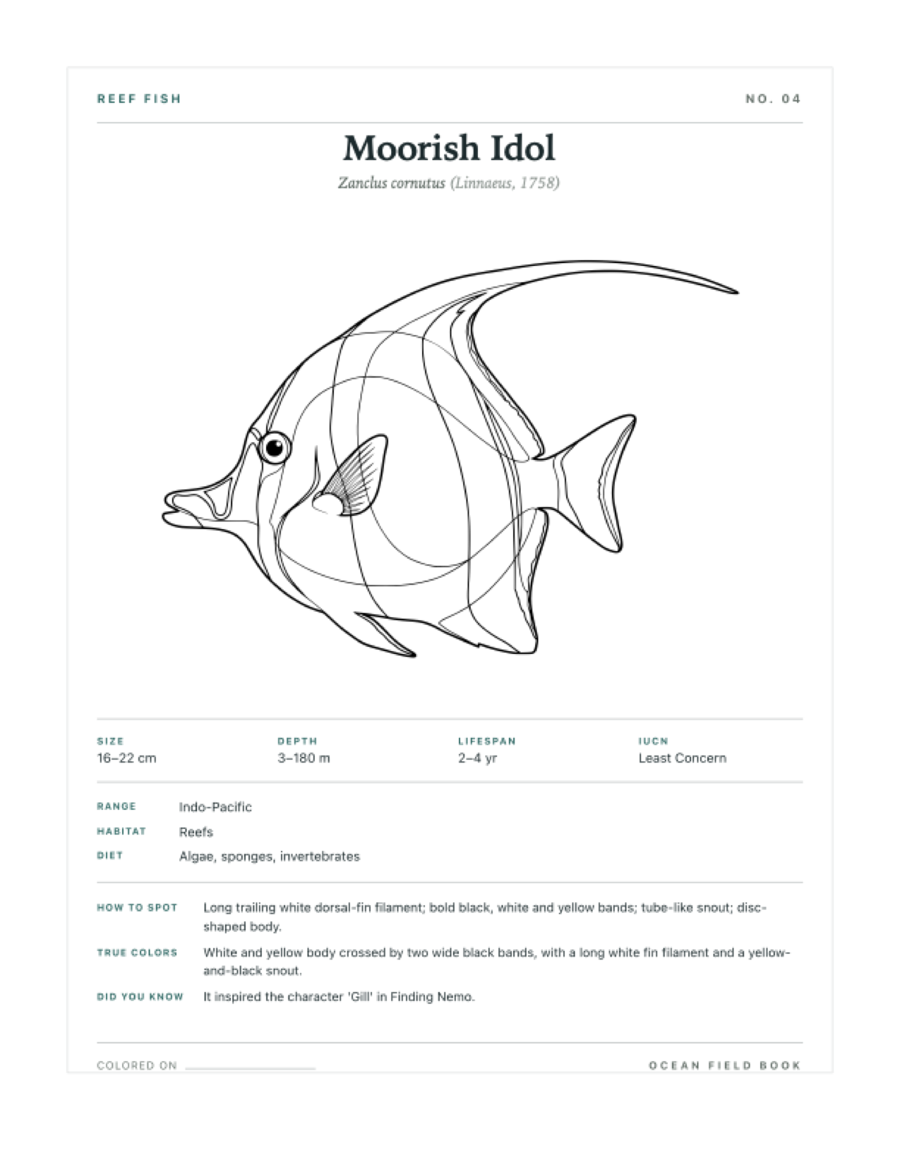 Moorish Idol coloring page — free printable field guide card