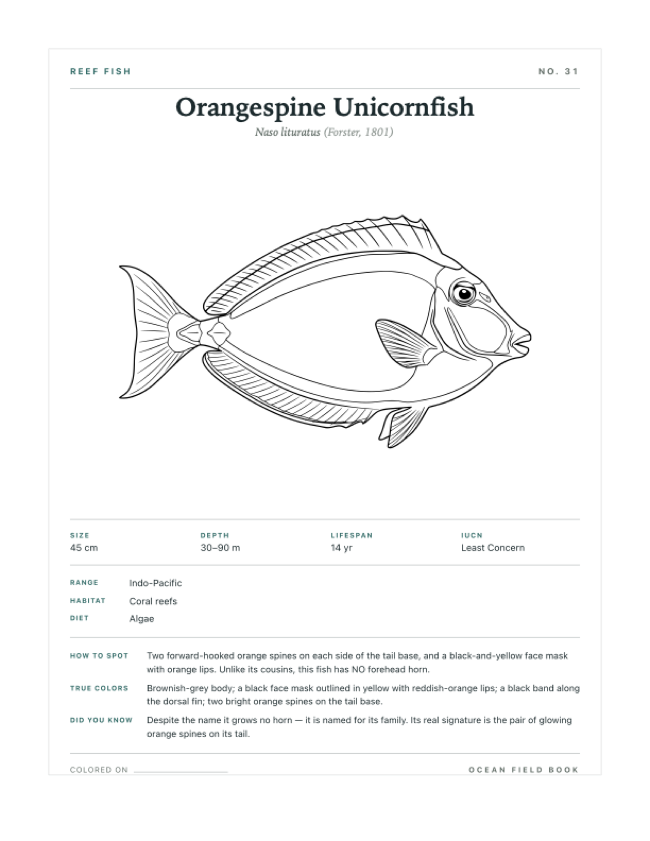 Orangespine Unicornfish coloring page — free printable field guide card