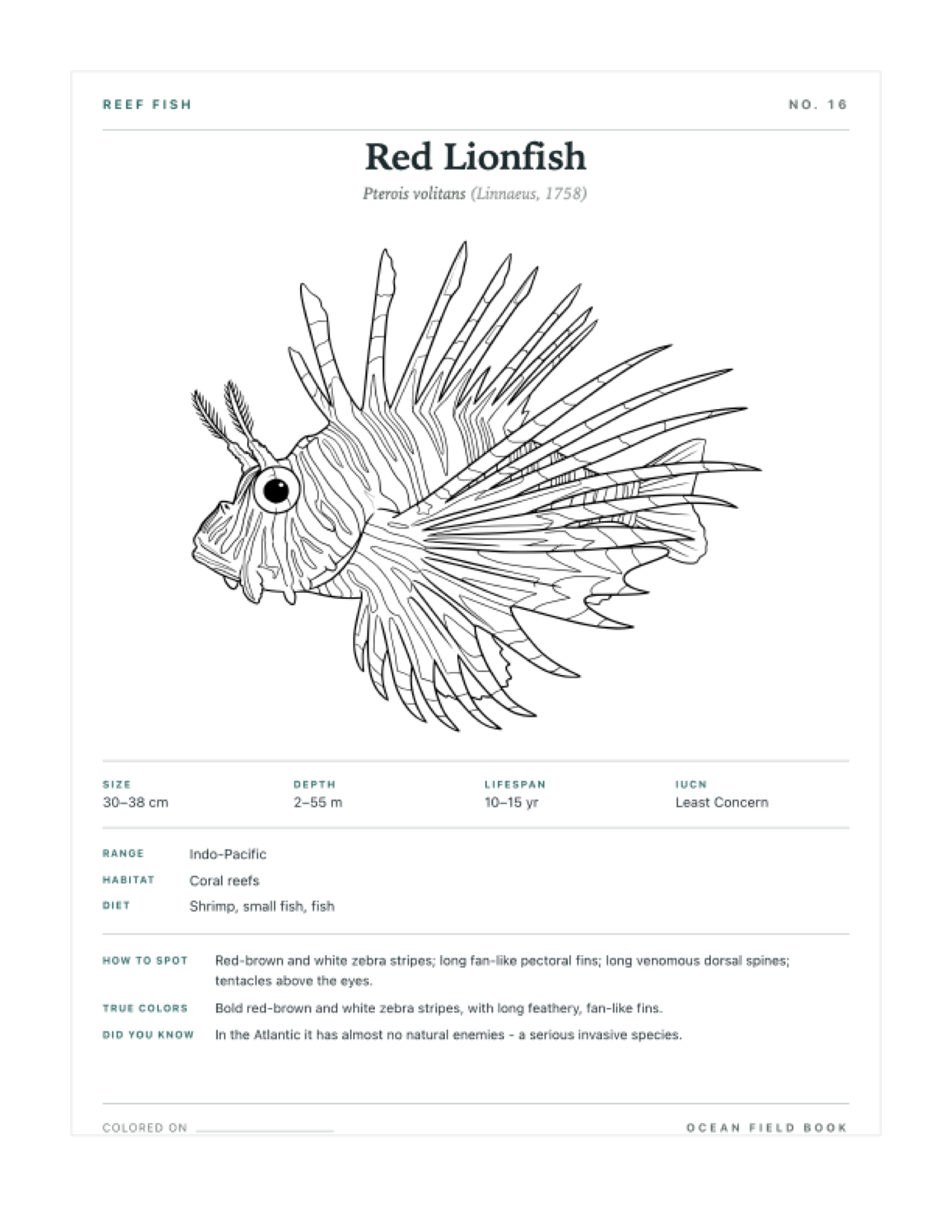 Red Lionfish coloring page — free printable field guide card