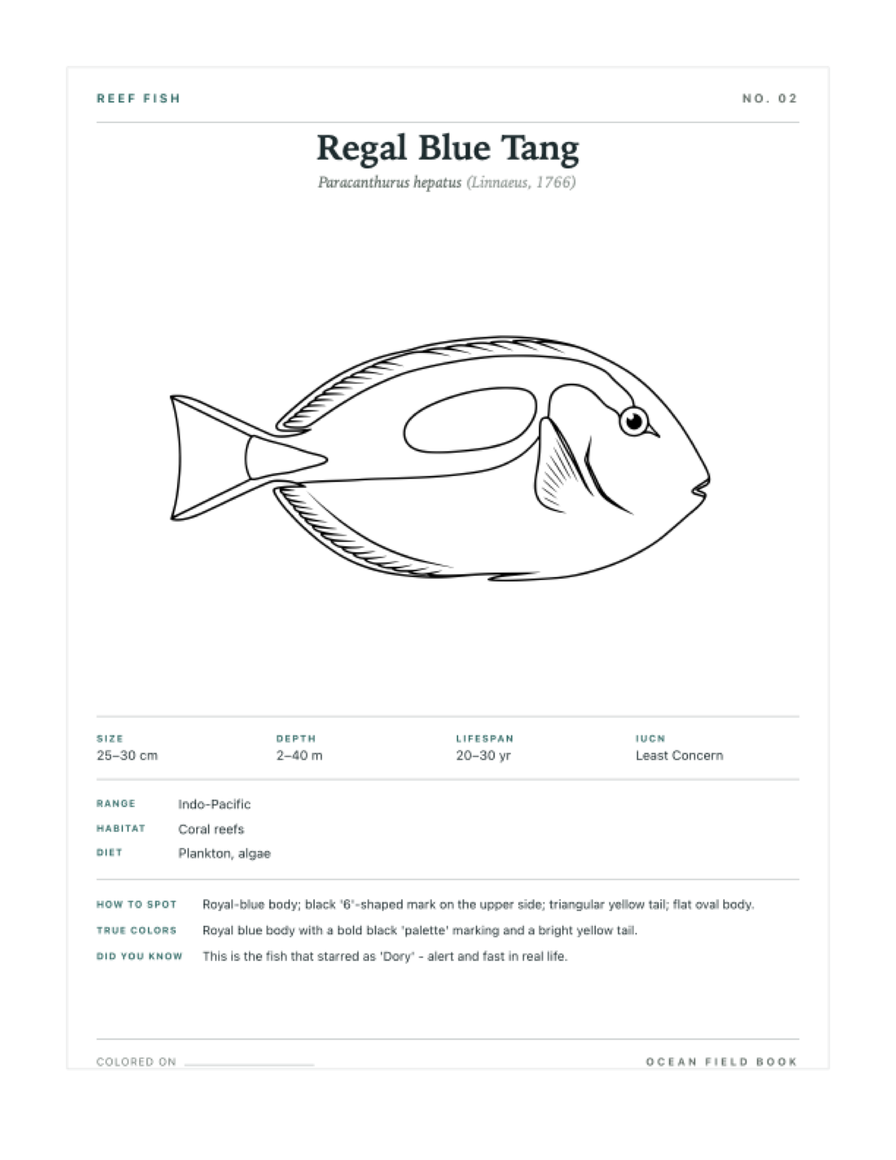 Regal Blue Tang coloring page — free printable field guide card