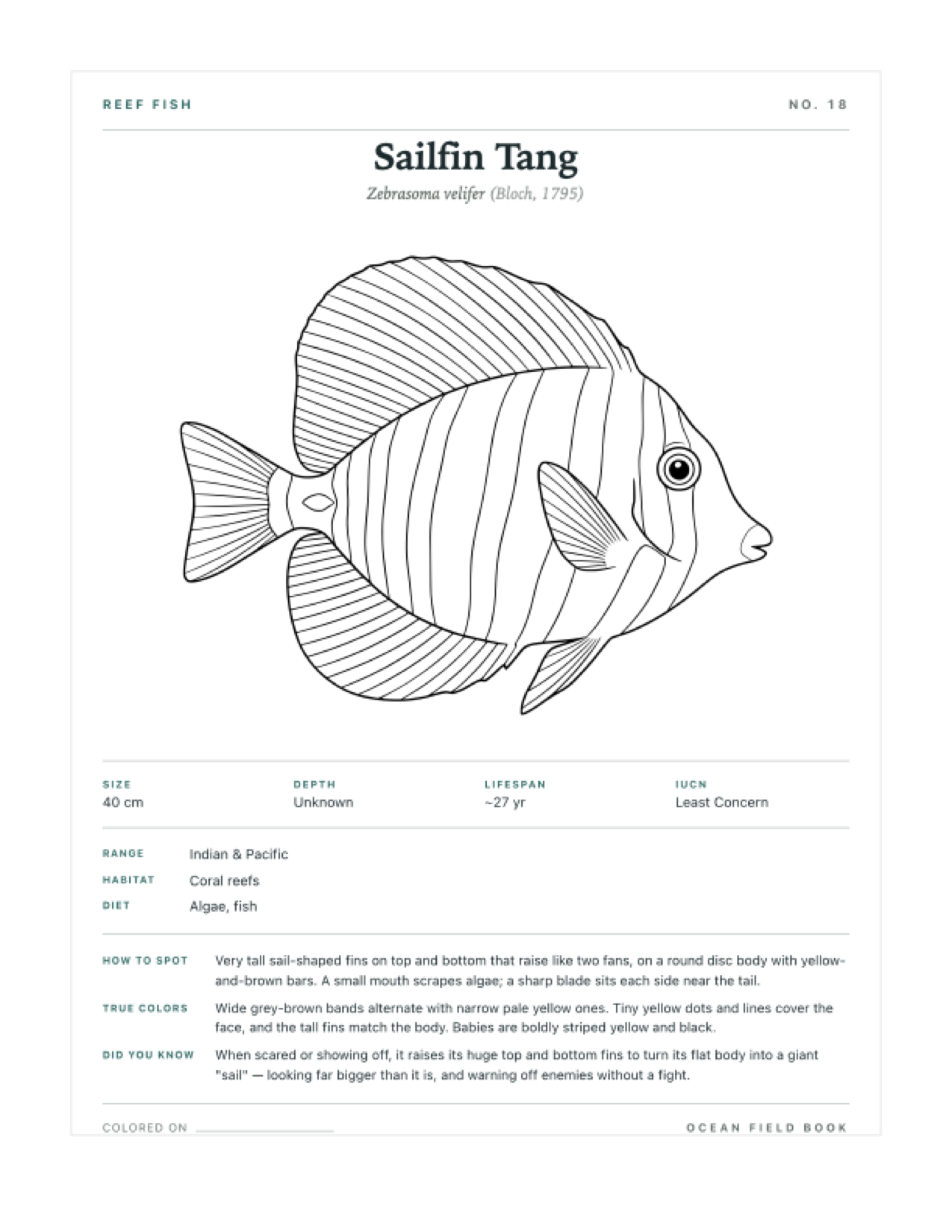 Sailfin Tang coloring page — free printable field guide card
