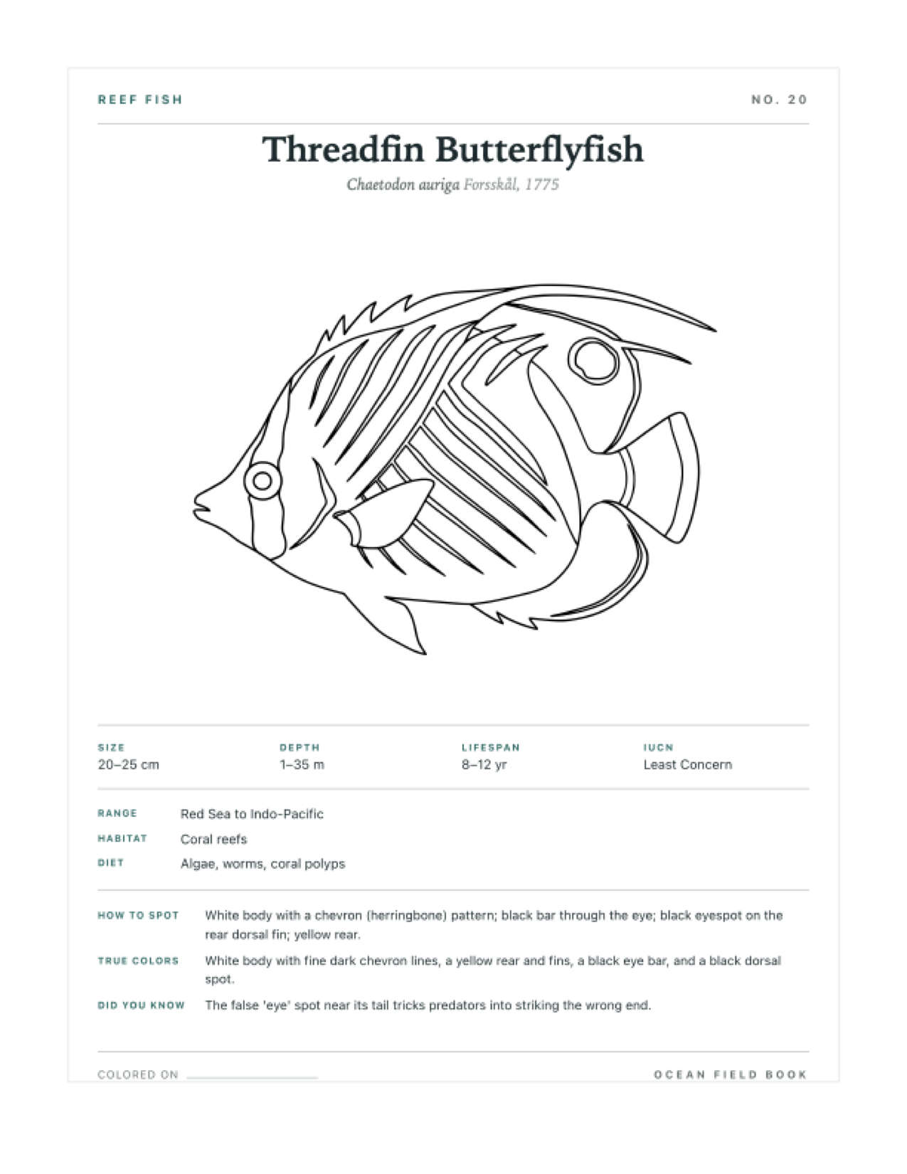Threadfin Butterflyfish coloring page — free printable field guide card