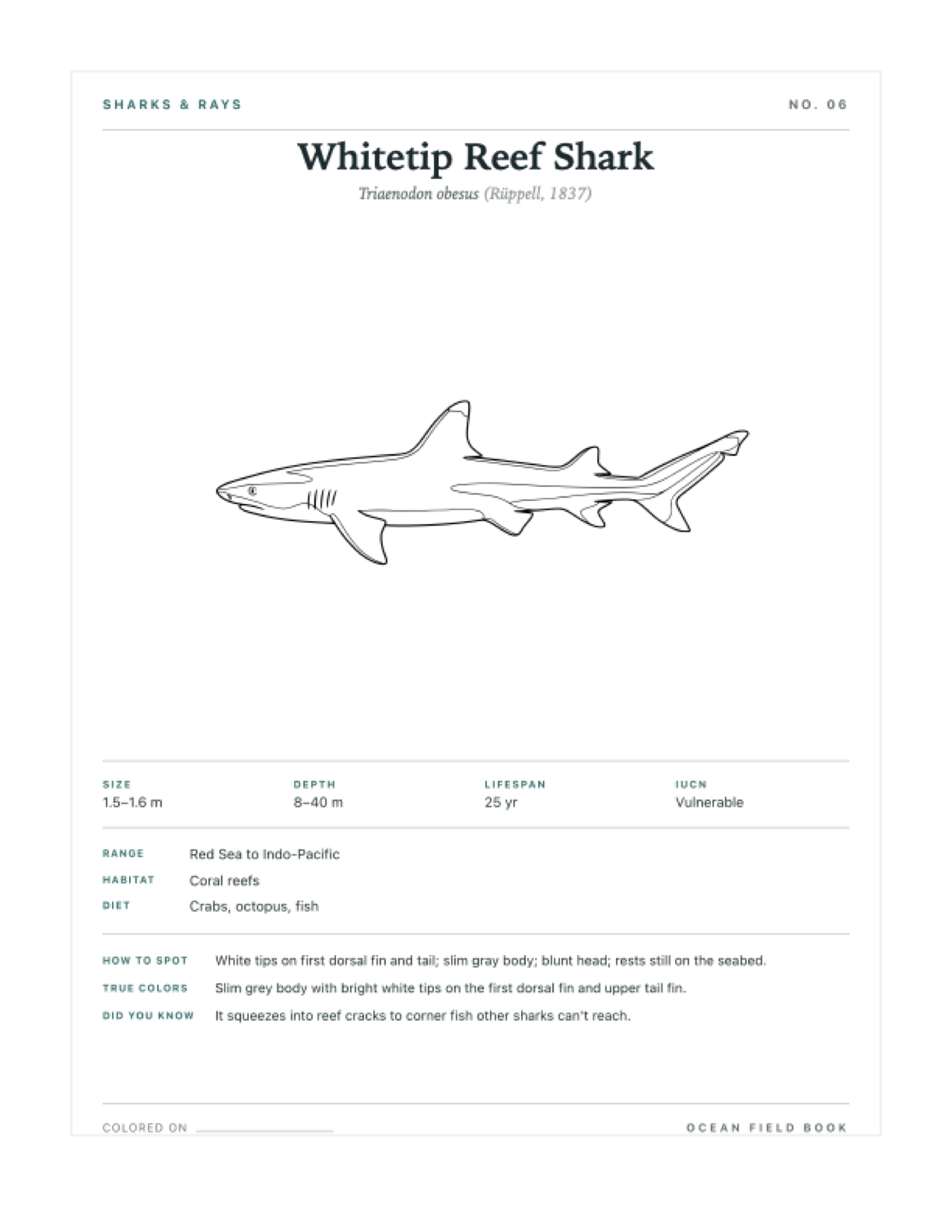 Whitetip Reef Shark coloring page — free printable field guide card