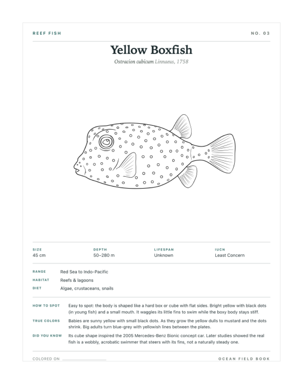 Yellow Boxfish coloring page — free printable field guide card