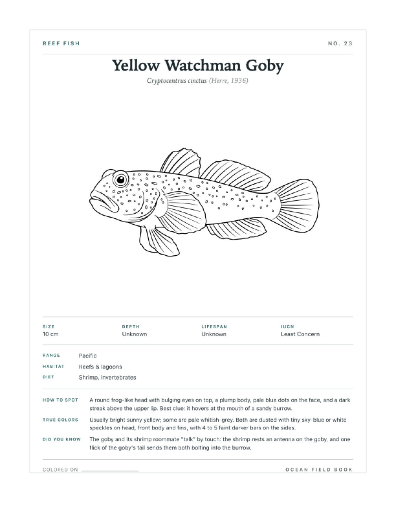 Yellow Watchman Goby coloring page — free printable field guide card