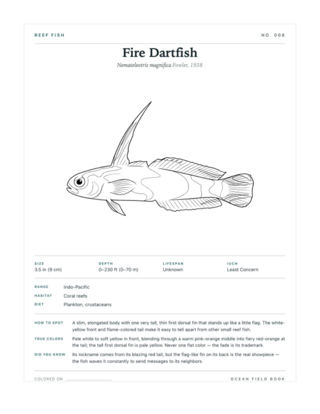Fire Dartfish coloring page — field guide card