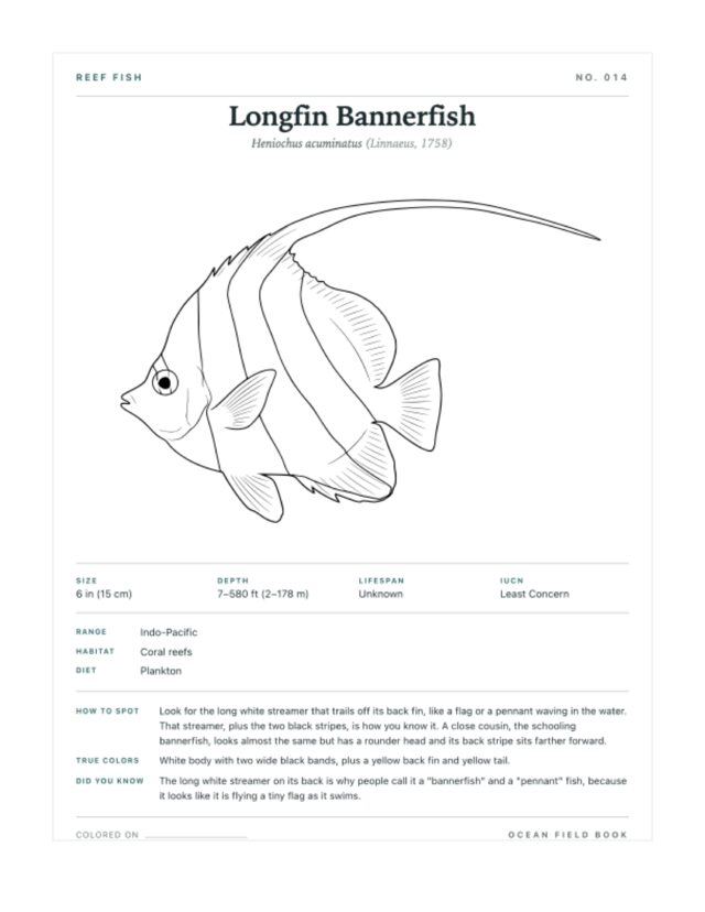 Longfin Bannerfish coloring page — field guide card