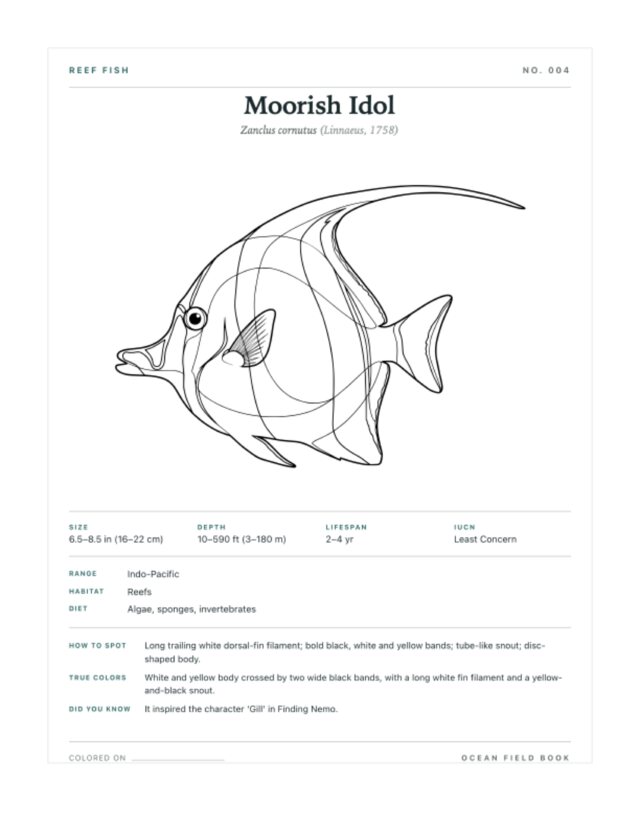 Moorish Idol coloring page — field guide card