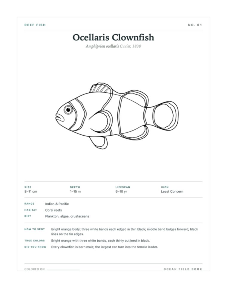 Field-guide coloring card sample