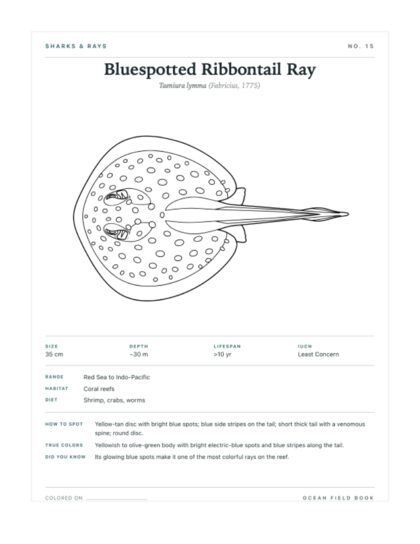 Bluespotted Ribbontail Ray coloring page