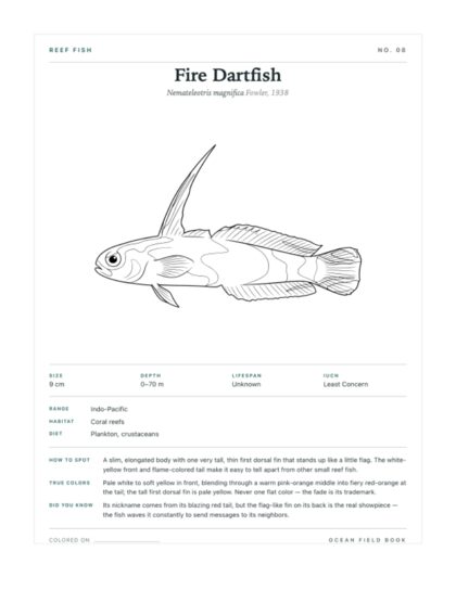 Fire Dartfish coloring page