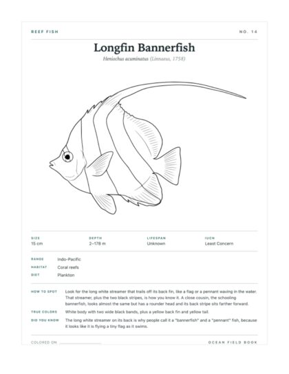 Longfin Bannerfish coloring page