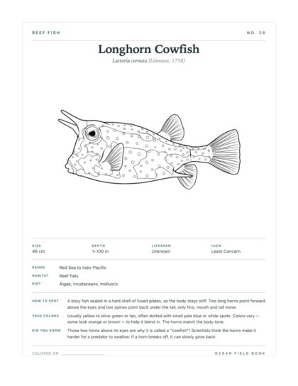 Longhorn Cowfish coloring page