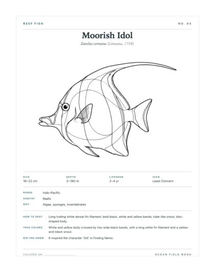 Moorish Idol coloring page