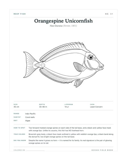Orangespine Unicornfish coloring page