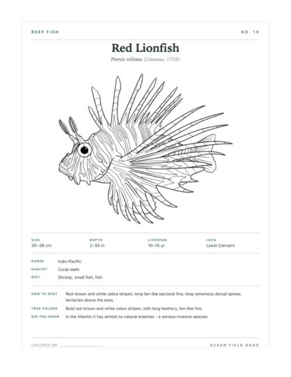 Red Lionfish coloring page