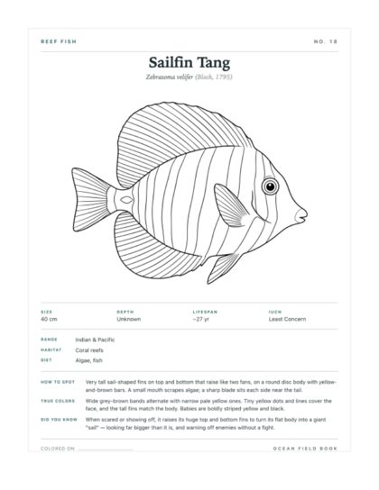 Sailfin Tang coloring page