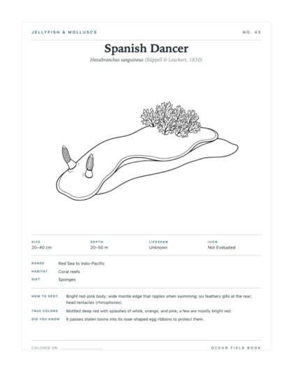 Spanish Dancer coloring page