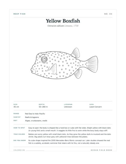 Yellow Boxfish coloring page